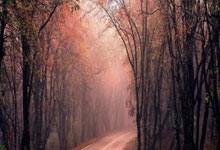 客战申花之前,北京国安迎来一好一坏两个消息,喜忧参半胜负难料.