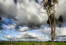 优德88官网:2023年歐洲冠軍聯賽決賽時間.