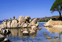 优德88：英超第26輪利物浦3-1諾維奇 馬內薩拉赫破門迪亞斯打進處子球.